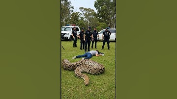 Brave Police Officers Rescue a Man from a Giant Python Attack