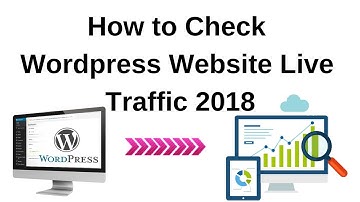 How to check wordpress website live traffic 2018