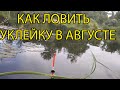 Как ловить уклейку в августе?и Супербонусы! Рыбалка ,практика и теория.