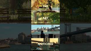 The Art Of Noticing The Everyday