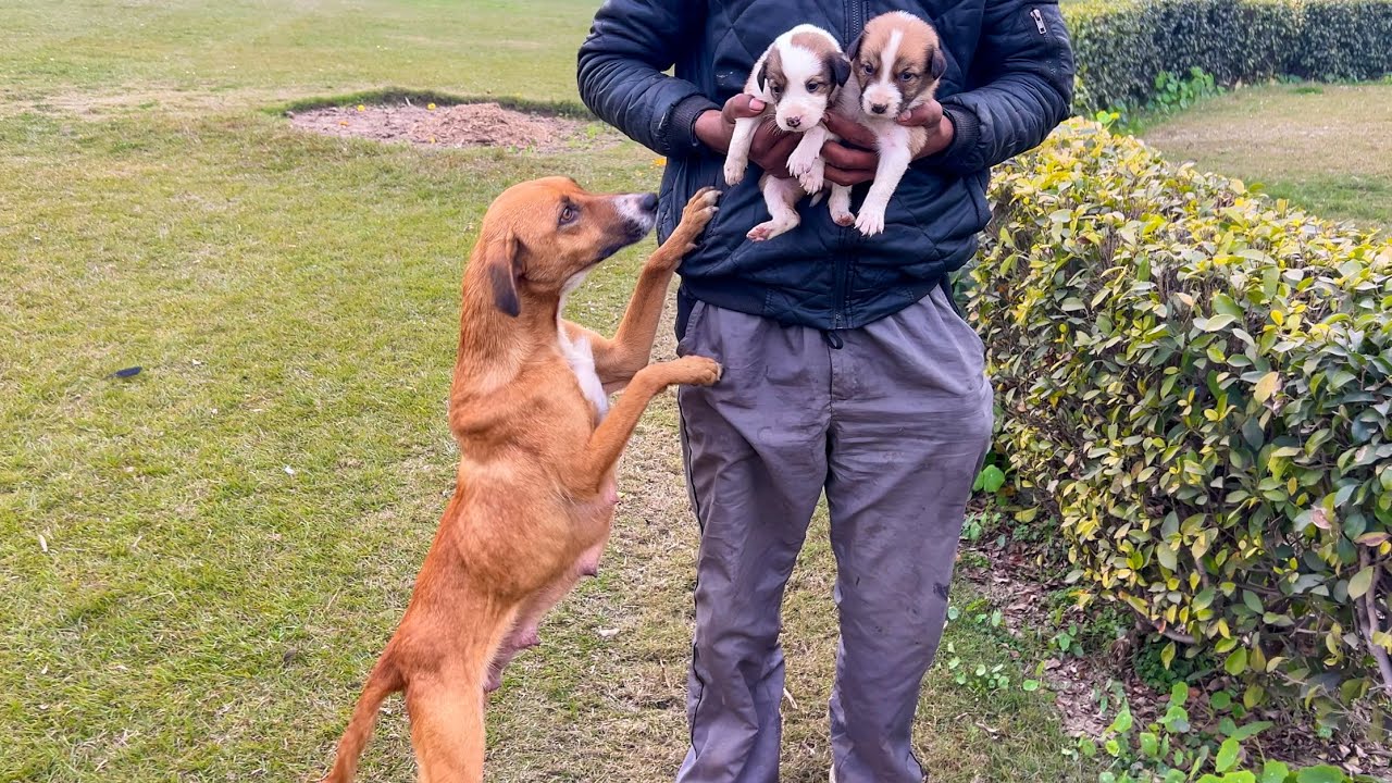 Please Don't Take My Babies Away From Me Forever.. She Already Lost Her 2 Babies.