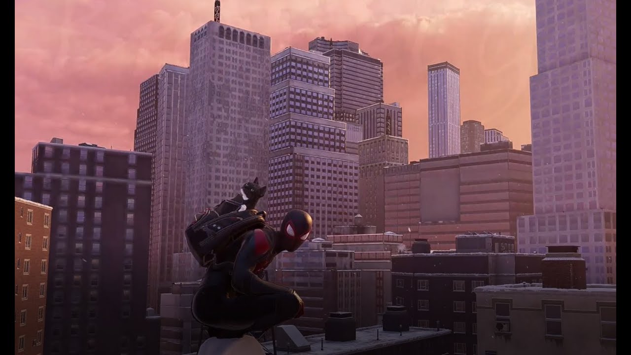 Lost Cat Side Mission | Spider-Man: Miles Morales PC