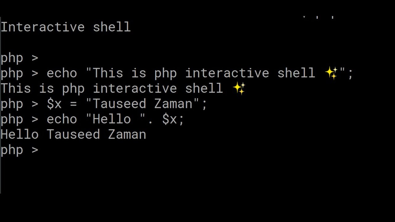 Interactive shell