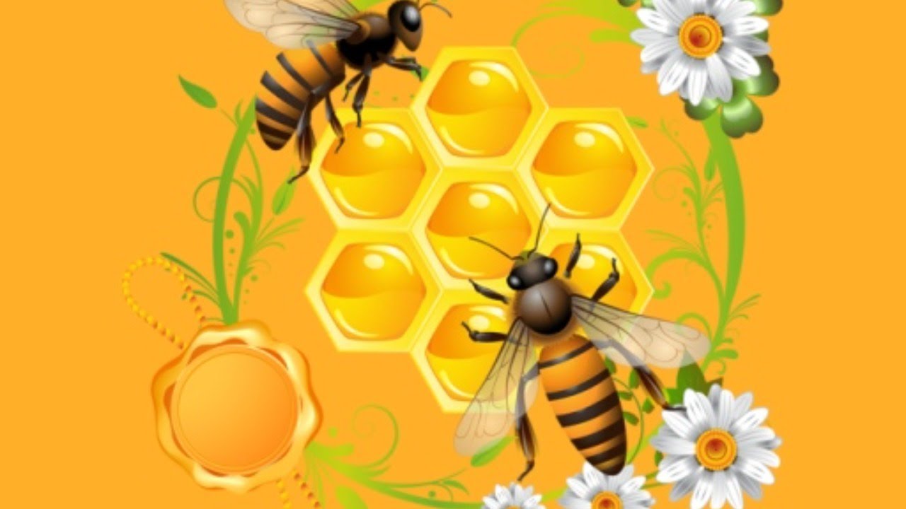 Пасека и ещё один интересный мод. - YouTube