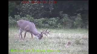 Hunting And Fishing America Live Cam