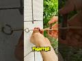 Tighten a Loose Clothesline in 5 Seconds! 🔥#lifehack#diylifehack#hometricks#simpletricks#diy#shorts
