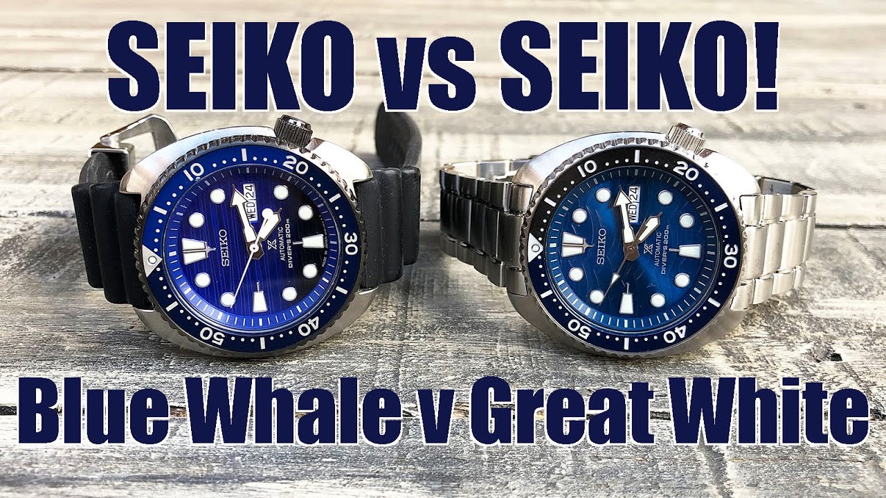 Blue Whale vs Great White! Seiko “Save the Ocean” Turtle Comparison - Perth  WAtch #349 - YouTube