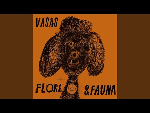 Video: Ekvatorns Flora Och Fauna