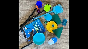 Target Training Snakes: Choosing a Target