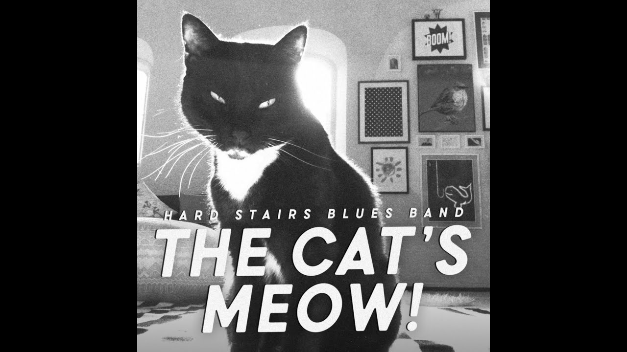 Music from 'The Cat's Meow!' Album by Hard Stairs B...