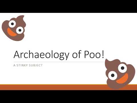 Archaeology 101 Lectures