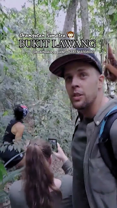 Bukit Lawang Trekking  6281364108007