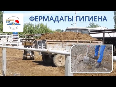 Video: Фермадагы 