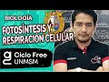 BIOLOGÍA - Fotosíntesis y respiración celular [CICLO FREE]