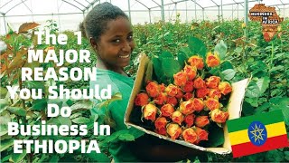 The 1 major reason you should do business in ethiopia | doing