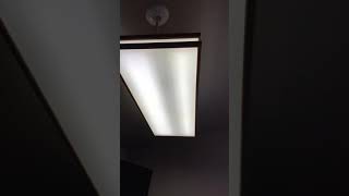 IMG 6733