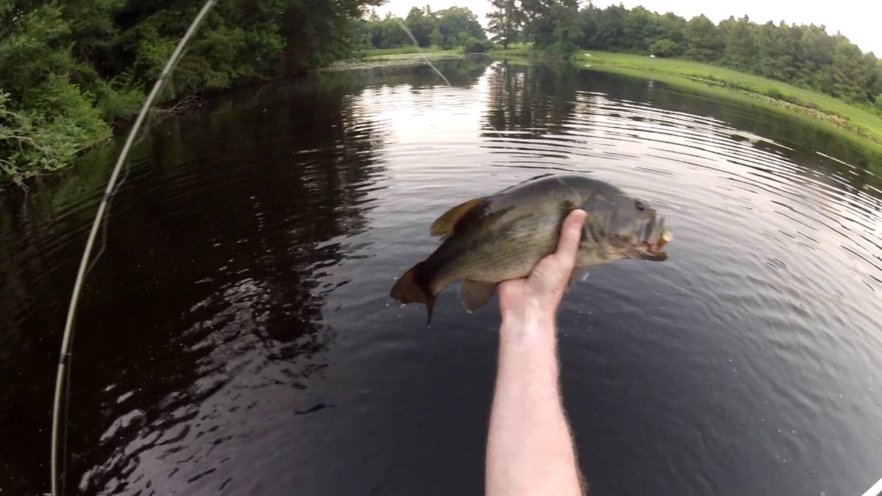 Big Fish On A Series X BaitSmith Swimbait!