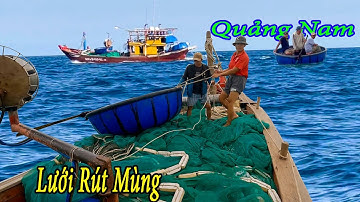 Hấp Dẫn Lưới Rút Mùng Quảng Nam Vây Cá Cơm Ào Ạc Trong Đêm.