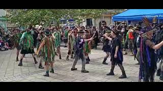 Beltane, Otter, Grimspound  & Wild Moon - Haccombe  - Teignmouth Folk Festival - 20 June 26
