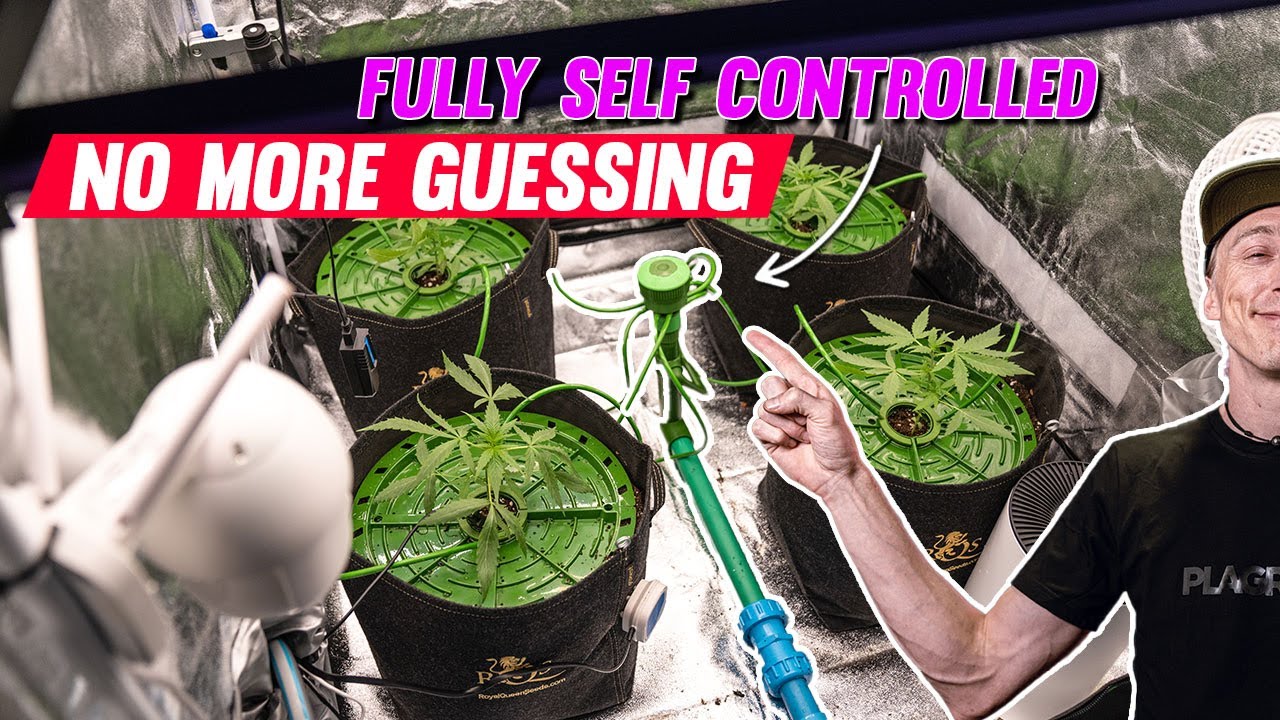 Have you ever seen a fully automated grow tent? | EP4