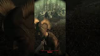 I had to bring a Dog to this Water Reservoir just to make a Reservoir Dogs joke #fallout3