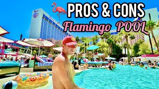 Pro's & Con's Flamingo Pools