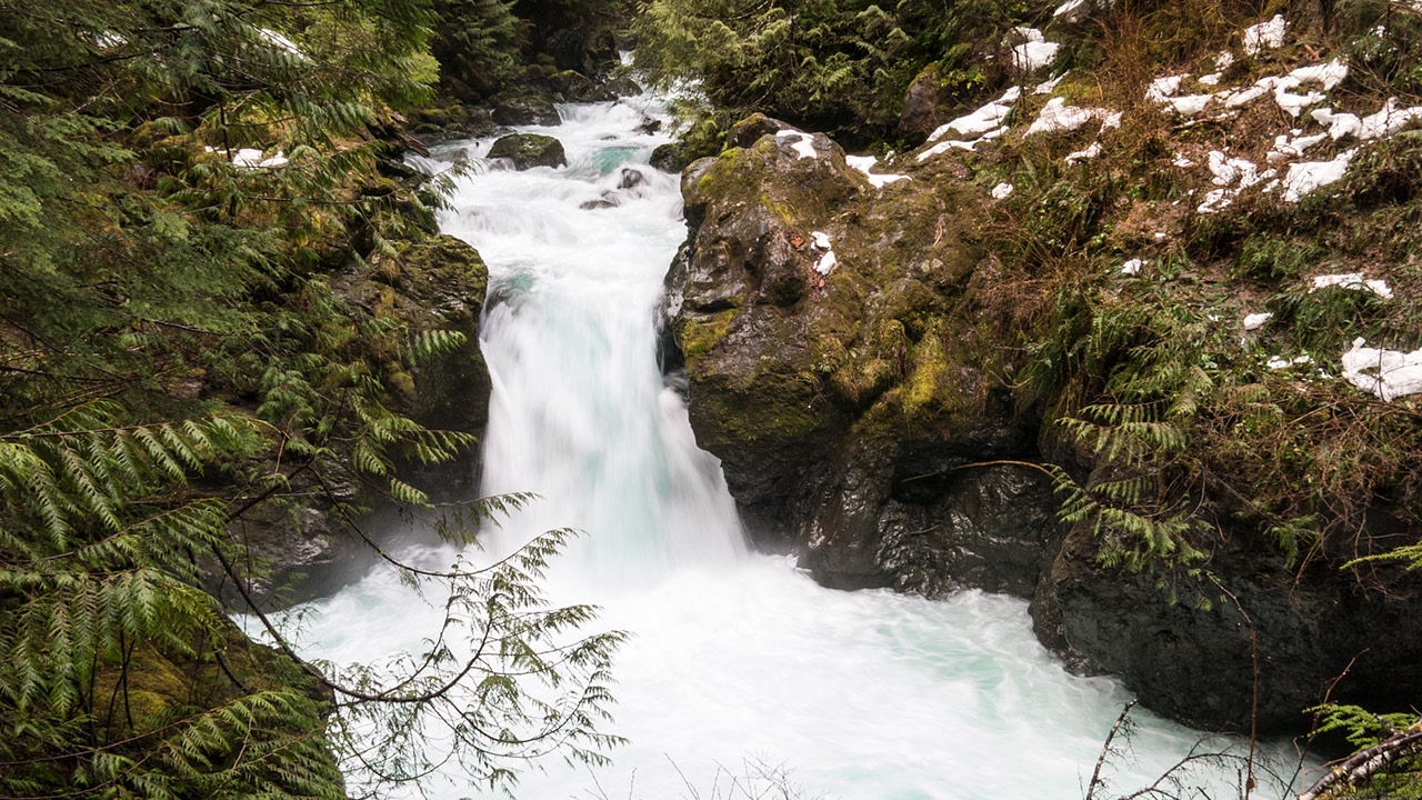 Maidenhair Falls on the Wynoochee River in the Olympic National Forest