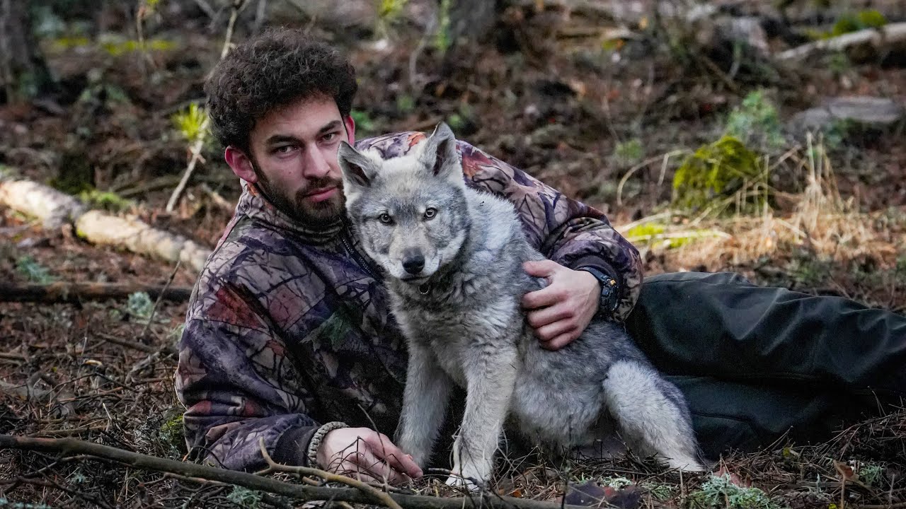 BÖRÜ YUVAYA DÖNDÜ! 