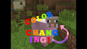 How to Get Color Changing Sheep in Minecraft