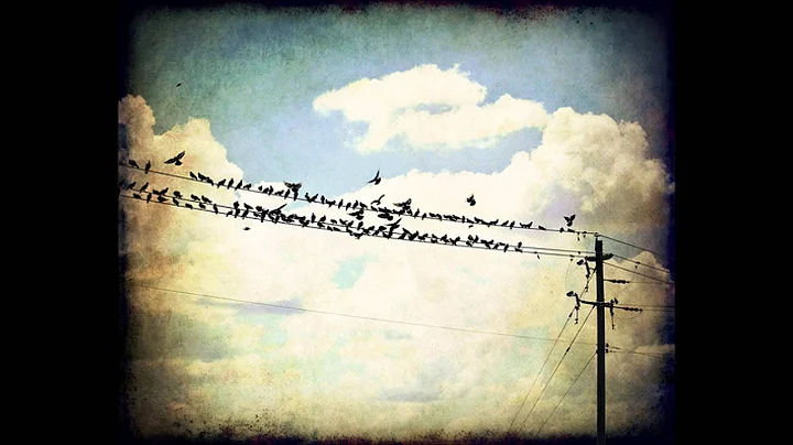 Aidan Gerard Keenan "The Feathered Line"