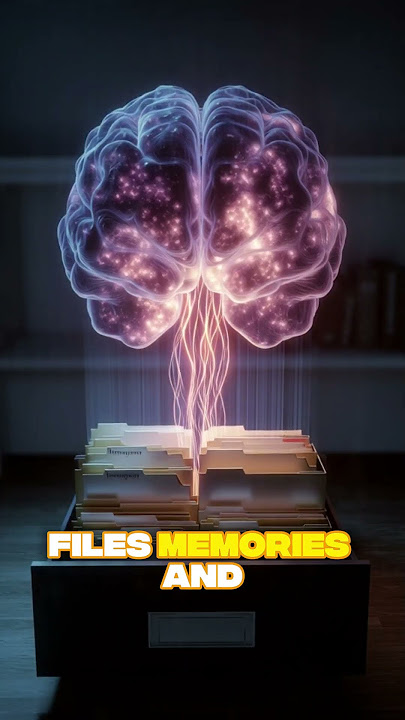 The Real Reason You Dream Every Night 🌙 | Explained #Shorts