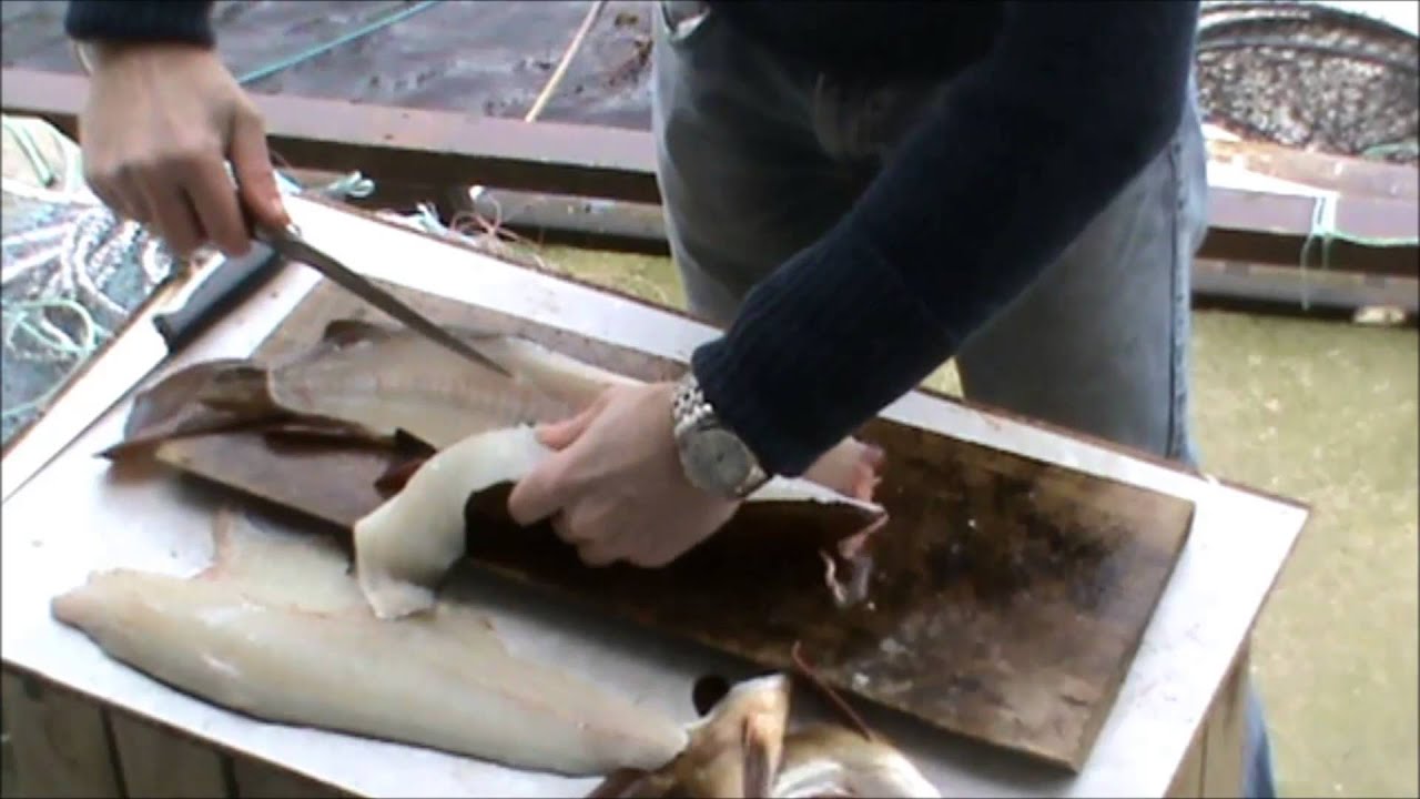 Filetering av torsk - helt beinfri
