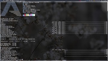 ArcoLinux : 968 It is safe to upgrade your qtile systems