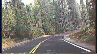 Driving Through Forrest VHS Footage Retro 90’s Tapes