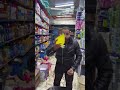 المايستروووووو بيقول اي استر يا دولي