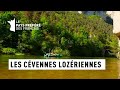 Les Cévennes Lozériennes - Cévennes- Les 100 lieux qu'il faut voir - Documentaire