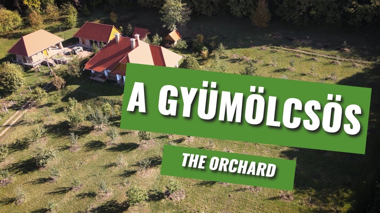 A birtok, ahol a régi gyümölcsfajtáim őrzöm. / The property I grow my heritage fruit trees.