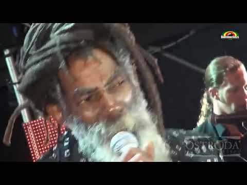 DON CARLOS & Dub Vision  Johnnie Big Mouth  Live @ OSTRÓDA REGGAE FESTIVAL 2013   Poland