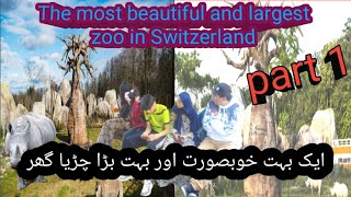 Amazing Zurich zoo walking tour 🐘 🦁 🐧 🦒, 4K @SwissLifeStyley #viral#zurich#daily