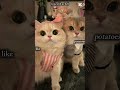 #cute #getitviral  alone vs together