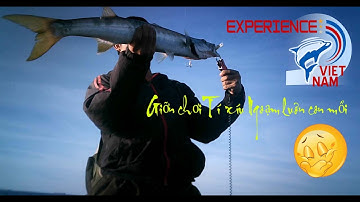 Trải nghiệm Việt Nam: Trolling - Màn đụng độ vô cực kỳ hấp dẫn với cá nhồng.