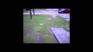 Pawn Shop Robbery