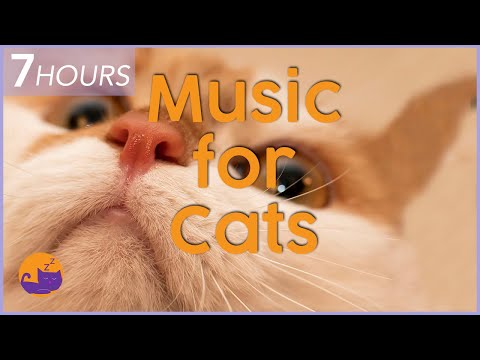 Music for Cats - 7 HOURS of Deep Soothing Music to Relax your Cat! 🌌