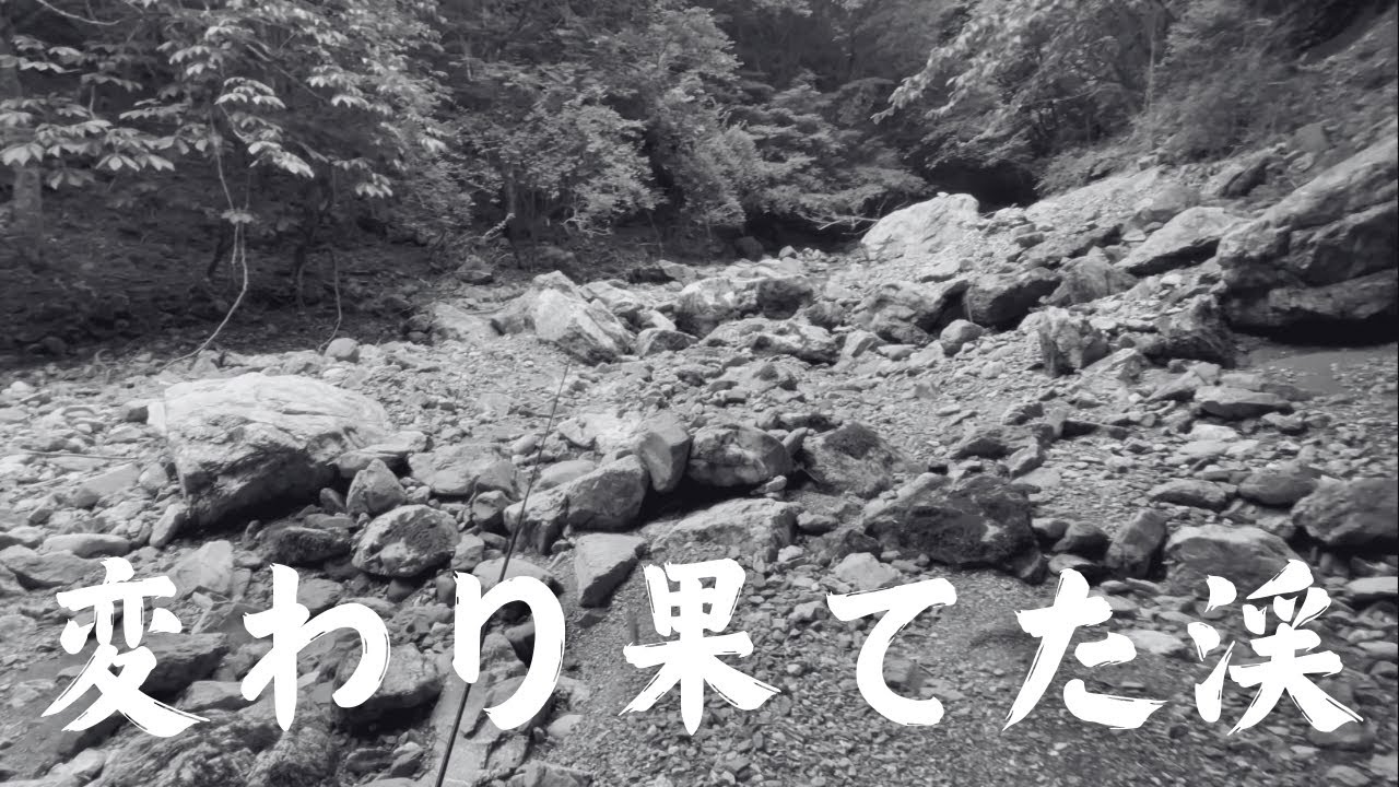【渓流釣り】砂利で埋まった川に魚はいるのか？