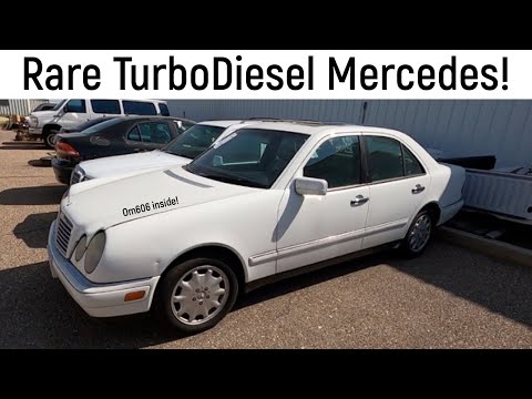 Rare Diesel Mercedes Daily?