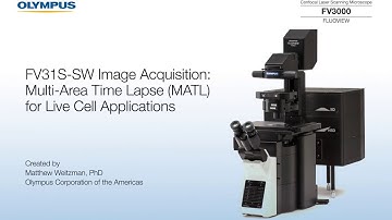 FV31S-SW Image Acquisition: Multi-Area Time Lapse (MATL) for Live Cell Applications