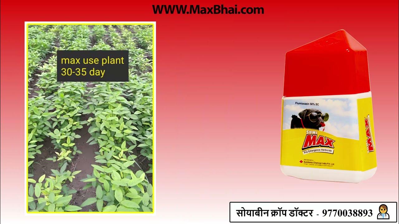 Soybean herbicide Max Sumimax YouTube