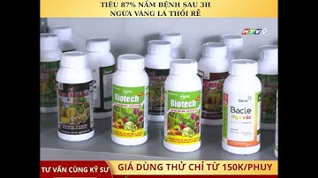 Bacte Active Xì Mủ Tuyến Trùng, xử lý vàng lá thối rễ #bacte #bacteactive #kỹsưhồphúcnguyên