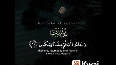 ابداع الشيخ سيد سعيد فى سورة يوسف