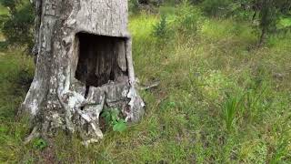 Hiking to Martha's Furnace/NJ Pine Barrens